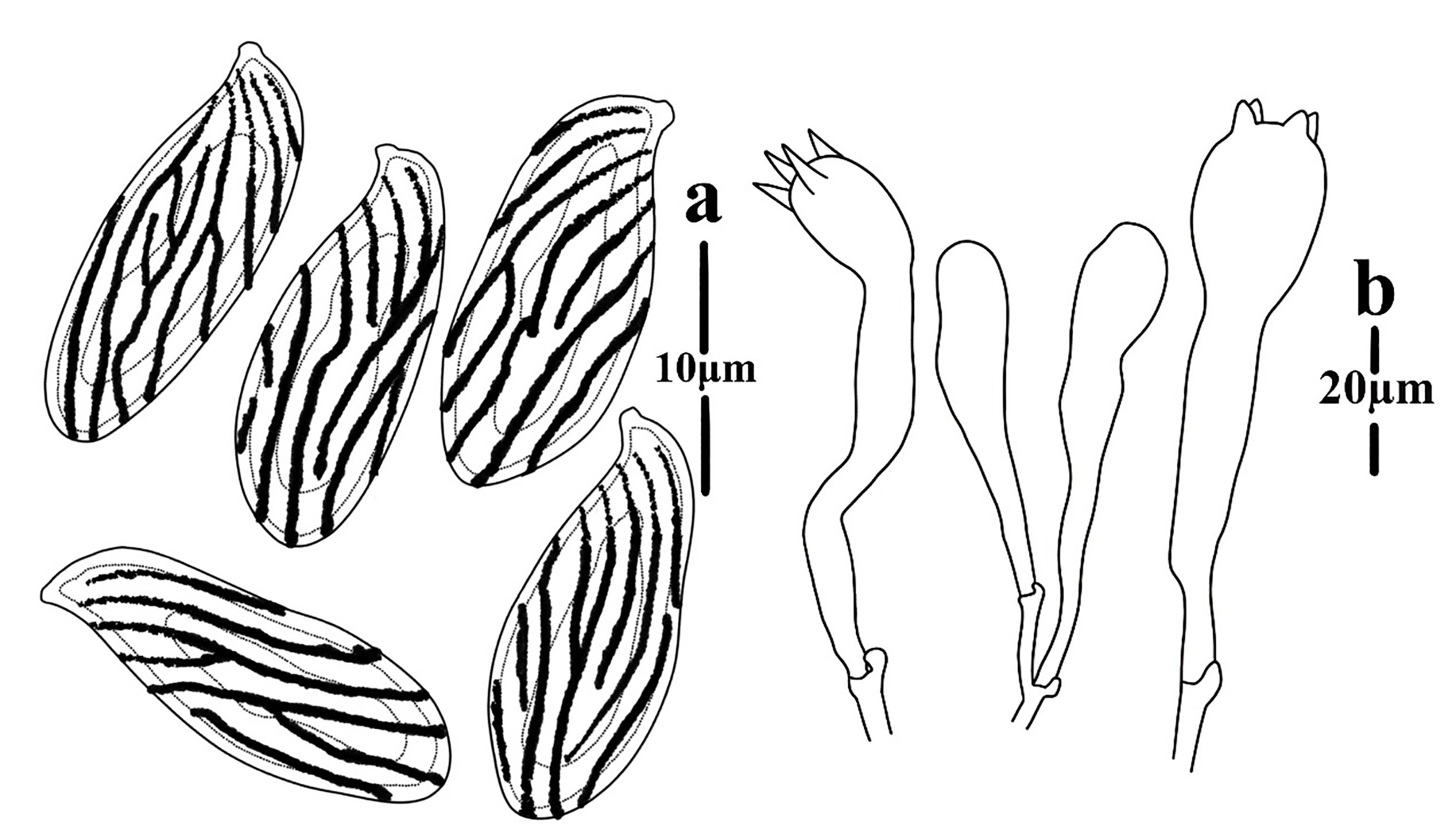 Figure 45